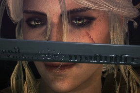 九游登录入口-伊朗马术协会开展马匹福利宣传活动，提升公众意识。，伊朗 大马士革