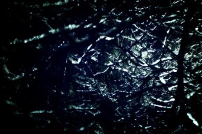 九游娱乐官方-“中超大牌外援纷纷续约，联赛稳定性增强”，中超引进的最大牌外援