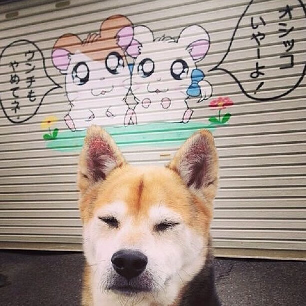 《英雄联盟S15赛季,G2战队表现惊艳刷新纪录》,g2战队s11进msi了吗