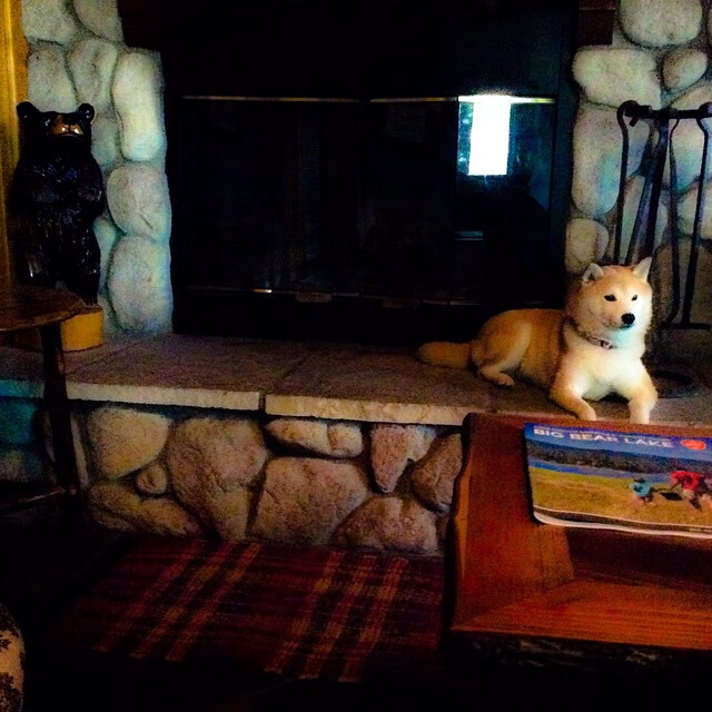 中国运动员在国际篮球赛中屡创佳绩,彰显国家实力,中国国际篮球名人堂